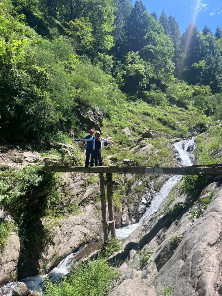 Kheerganga trek view